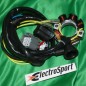 Stator + lighting ELECTROSPORT for KAWASAKI KXF, SUZUKI RMZ 250 from 2004