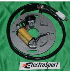 Estator ELECTROSPORT para YAMAHA YZ WR 250 de 1990, 1991, 1992, 1993, 1994, 1995, 1996 y 1997