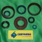 CENTAURO kit de sellado de espía de motor bajo / spinnaker para HUSQVARNA WR, CR 250, 300 de 1998 a 2014