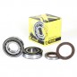 Crankshaft bearing HOT RODS for HUSQVARNA FE, FC, KTM SXF, EXCF 250 and 350