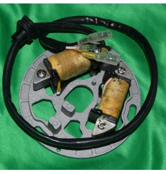 Stator ELECTROSPORT pour KAWASAKI KDX 200, 220 de 1989 à 2005