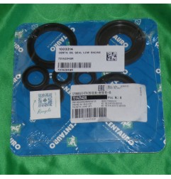 CENTAURO low engine spy gasket for KTM MX, GS 250cc from 1983 to 1989