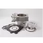 Kit CYLINDER WORKS BIG BORE 270 para SUZUKI RMZ 250 de 2007 a 2009 Kit CYLINDER WORKS BIG BORE 270 para SUZUKI RMZ 250 de 2007 a 2009