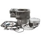 Rearward cylinder kit CYLINDER WORKS for KAWASAKI 750 BRUTE FORCE, TERYX from 2005 to 2014 Rearward cylinder kit CYLINDER WORKS for KAWASAKI 750 BRUTE FORCE, TERYX from 2005 to 2014