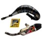 FRESCO Factory muffler for TM RACING EN, MX, SMR 125 from 2006 to 2021 FRESCO Factory muffler for TM RACING EN, MX, SMR 125 from 2006 to 2021