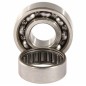 HOT RODS balance shaft bearing kit for HONDA CRF 250 R from 2010 to 2018 HOT RODS balance shaft bearing kit for HONDA CRF 250 R from 2010 to 2018