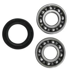 HOT RODS counterweight bearing set for HONDA CRF 250 from 2018 to 2024