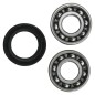 HOT RODS counterweight bearing set for HONDA CRF 250 from 2018 to 2024 HOT RODS counterweight bearing set for HONDA CRF 250 from 2018 to 2024