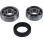 HOT RODS counterweight bearing set for HONDA CRF 450 from 2017 to 2024 HOT RODS counterweight bearing set for HONDA CRF 450 from 2017 to 2024