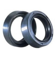 CENTAURO crankshaft spy gasket for BETA RR 250 from 2014 to 2015