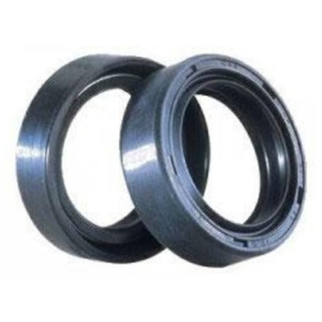 CENTAURO crankshaft spy gasket for BETA RR 250 from 2014 to 2015