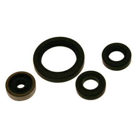 CENTAURO crankshaft gasket for FANTIC XEF, XXF, YAMAHA WRF, YZF 250 from 2019 to 2025