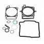 Paquete de juntas de motor CENTAURO para HUSQVARNA TC, TE 250 de 2010 a 2014 Paquete de juntas de motor CENTAURO para HUSQVARNA TC, TE 250 de 2010 a 2014