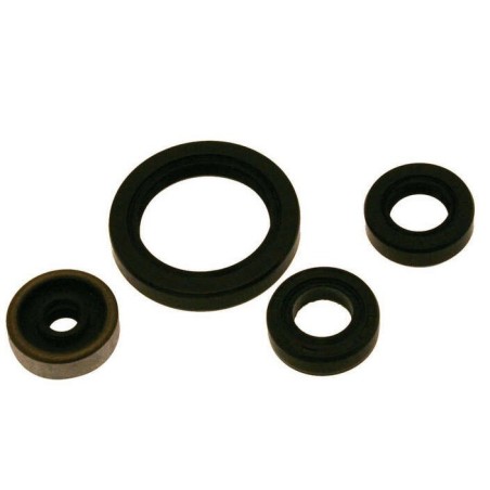 CENTAURO low engine spy / spinnaker gasket kit for KAWASAKI KX 250 from 2019 to 2020