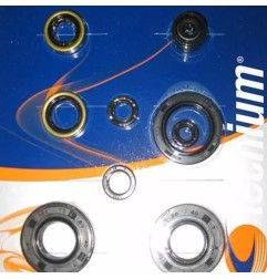 Dichtungssatz für den unteren Motorblock ( TECNIUM ) für KAWASAKI KXF und SUZUKI RMZ 250, Baujahre 2004 bis 2016