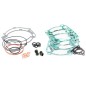 Complete CENTAURO engine gasket pack for SHERCO SEFR 450 from 2014 to 2023 Complete CENTAURO engine gasket pack for SHERCO SEFR 450 from 2014 to 2023