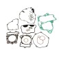 Pack joint moteur complet CENTAURO pour SUZUKI RMZ 250 de 2016 à 2026 Pack joint moteur complet CENTAURO pour SUZUKI RMZ 250 de 2016 à 2026