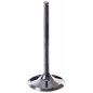 VERTEX titanium intake valve for FANTIC XEF, XXF, YAMAHA WRF, YZF, YZFX 250 from 2022 to 2024 VERTEX titanium intake valve for FANTIC XEF, XXF, YAMAHA WRF, YZF, YZFX 250 from 2022 to 2024