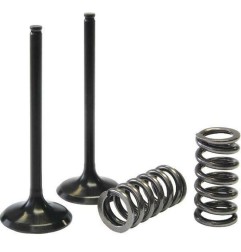 Kit de conversion soupapes d'échappement PROX en acier pour FANTIC TFES, GAS GAS ECF, YAMAHA WRF, YZF 250, 300 de 2001 à 2015