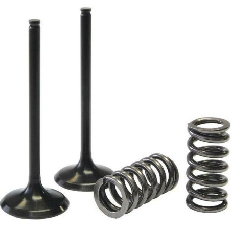 PROX steel exhaust valve conversion kit for FANTIC TFES, GAS GAS ECF, YAMAHA WRF, YZF 250, 300 from 2001 to 2015