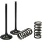 PROX steel exhaust valve conversion kit for FANTIC TFES, GAS GAS ECF, YAMAHA WRF, YZF 250, 300 from 2001 to 2015