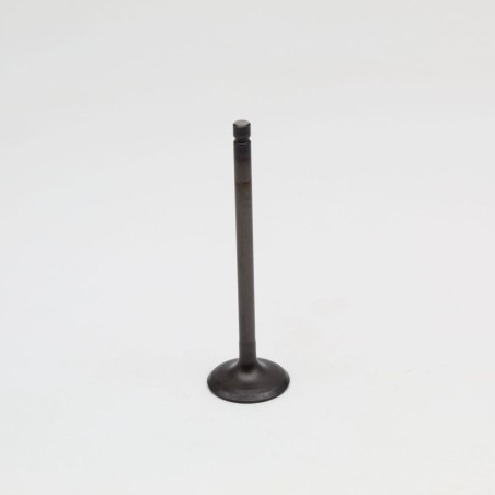 Válvula de escape PROX de titanio para Yamaha YFM 700 R Raptor de 2006 a 2025 y XT 660 R/X
