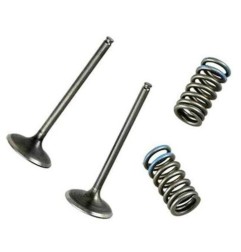 Kit de conversion soupapes d'admission WOSSNER en acier pour KAWASAKI KXF 450 de 2009 à 2015