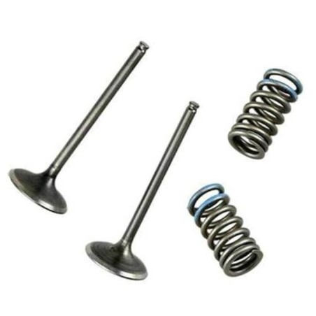 Kit de conversión de válvula de escape de acero WOSSNER para KAWASAKI KFX, KLX, SUZUKI DRZ, LTZ 400 de 2000 a 2018