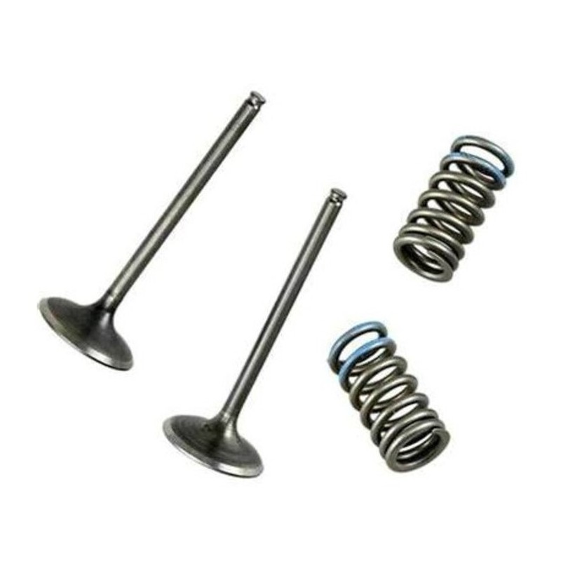 Kit de conversion soupapes d'admission WOSSNER en acier pour KAWASAKI KFX, KLX, SUZUKI DRZ, LTZ 400 de 2000 à 2018