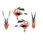 Deco kit with seat cover BLACKBIRD RACING for motocross BETA RR 125, BETA RR 250, BETA RR 400