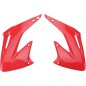 copia de copia de Caches radiateur POLISPORT pour MotoCross Honda CRF 250 R, CRF 450 R, CRF 450 RWE, CRF 450 RX