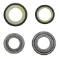 Kit de cojinetes de columna de dirección MOOSE para MotoCross KAWASAKI KLX 110, KLX 110 L, KLX 110 R, KLX 110 R L Kit de cojinetes de columna de dirección MOOSE para MotoCross KAWASAKI KLX 110, KLX 110 L, KLX 110 R, KLX 110 R L