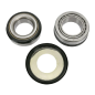 Steering column bearing kit PIVOT WORKS for MotoCross YAMAHA, WR 250 R, WR 250 X, WR 400 F, WR 426 F, WR 450 F Steering column bearing kit PIVOT WORKS for MotoCross YAMAHA, WR 250 R, WR 250 X, WR 400 F, WR 426 F, WR 450 F
