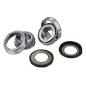 FACTORY LINKS steering column bearing kit for MotoCross BMW, KAWASAKI, KTM, SUZUKI, TM RACING, TRIUMPH, YAMAHA