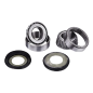 FACTORY LINKS steering column bearing kit for MotoCross APRILIA, BMW, GAS GAS, MOTO GUZZI FACTORY LINKS steering column bearing kit for MotoCross APRILIA, BMW, GAS GAS, MOTO GUZZI