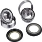 FACTORY LINKS steering column bearing kit for MotoCross GAS GAS EC 125, EC 125 HALLEY, EC 125 RACING FACTORY LINKS steering column bearing kit for MotoCross GAS GAS EC 125, EC 125 HALLEY, EC 125 RACING
