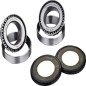 Steering column bearing kit FACTORY LINKS for MotoCross BMW F 650 GS, F 650 GS ABS, F 650 GS PD, F 650 GS PD ABS Steering column bearing kit FACTORY LINKS for MotoCross BMW F 650 GS, F 650 GS ABS, F 650 GS PD, F 650 GS PD ABS