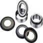 FACTORY LINKS steering column bearing kit for MotoCross FANTIC, SUZUKI, YAMAHA XE 125, XEF 250, WR 250 F FACTORY LINKS steering column bearing kit for MotoCross FANTIC, SUZUKI, YAMAHA XE 125, XEF 250, WR 250 F