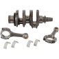 HOT RODS crankshaft for Polaris 850 SCRAMBLER from 2013 to 2017 and SPORTSMAN from 2009 to 2017 HOT RODS crankshaft for Polaris 850 SCRAMBLER from 2013 to 2017 and SPORTSMAN from 2009 to 2017
