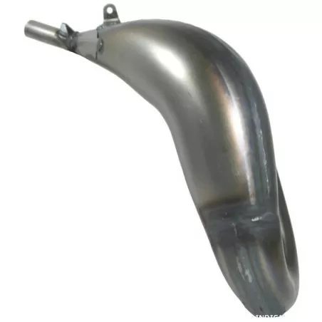 Escape impreso SCALVINI para motor HM 125 ROTAX de 2010 a 2015