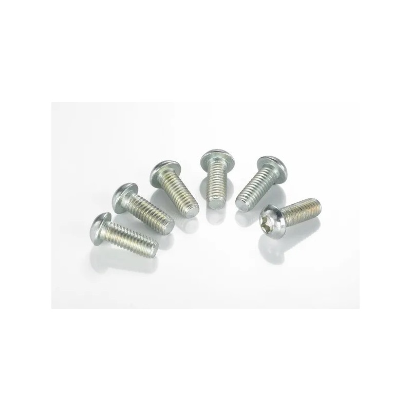 TRW brake disc bolt kit for HONDA, HUSABERG, HUSQVARNA, SUZUKI, YAMAHA CR 125, CR 250, CR 80, CR 85 from 1981 to 2026 TRW brake disc bolt kit for HONDA, HUSABERG, HUSQVARNA, SUZUKI, YAMAHA CR 125, CR 250, CR 80, CR 85 from 1981 to 2026