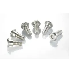 TRW-Bremsscheibenschrauben-Satz für KAWASAKI KDX 200, KLX 250, KLX 300, KX 125, KX 250, KX 500 von 1986 bis 2004 - Art.-Nr. MSS