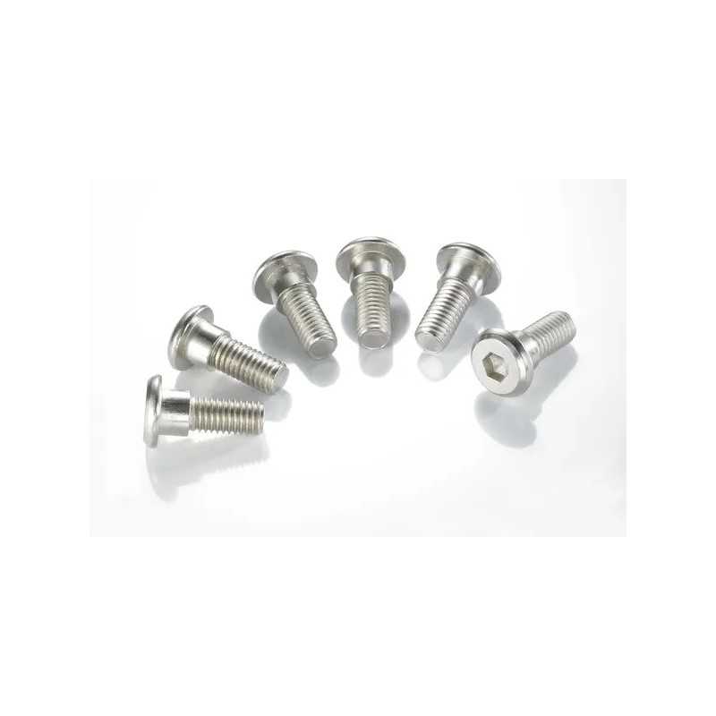 TRW-Bremsscheibenschrauben-Satz für KAWASAKI KDX 200, KLX 250, KLX 300, KX 125, KX 250, KX 500 von 1986 bis 2004