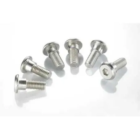 TRW-Bremsscheibenschrauben-Satz für KAWASAKI KDX 200, KLX 250, KLX 300, KX 125, KX 250, KX 500 von 1986 bis 2004