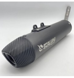 SCALVINI carbon muffler black/blue/red/purple/orange for HM 50 from 2010 to 2015
