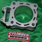 Cylindre CYLINDER WORKS Ø76.8mm pour HONDA CRF 250 de 2010 à 2017