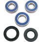 MOOSE OFFROAD rear wheel bearing kit for SUZUKI DR 250 S, XF 650 from 1990 to 2018