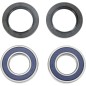 Kit de roulement de roue standard ALL BALLS pour BMW, HUSABERG, HUSQVARNA, KAWASAKI de 1994 à 2024 Kit de roulement de roue standard ALL BALLS pour BMW, HUSABERG, HUSQVARNA, KAWASAKI de 1994 à 2024