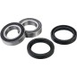 Front wheel bearing kit FACTORY LINKS for FANTIC, KAWASAKI, SUZUKI, YAMAHA WR 250 F, WR 450 F, YZ 250 F from 2005 to 2026