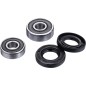 Front wheel bearing kit FACTORY LINKS for KAWASAKI, SUZUKI KLX 140 R, KX 65 A, RM 100 from 1998 to 2025